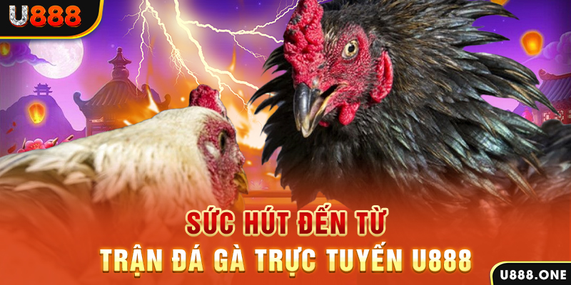 oke365 đá gà trực tiếp c1