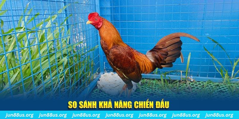 oke365 CQ9 Điện Tử