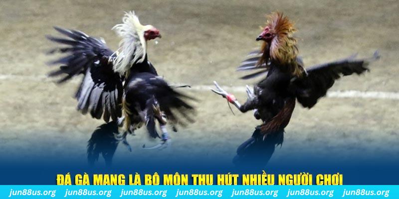 oke365 bắn cá au88