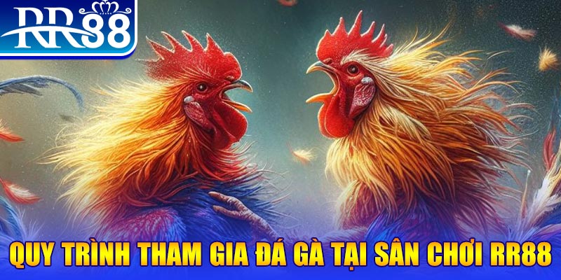oke365 đá gà cam 67