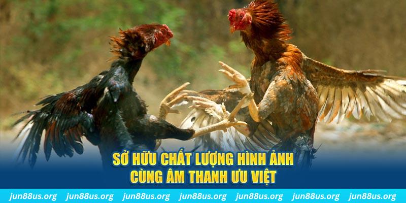 oke365 PP Điện Tử