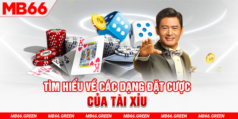 oke365 what is a virtual casino