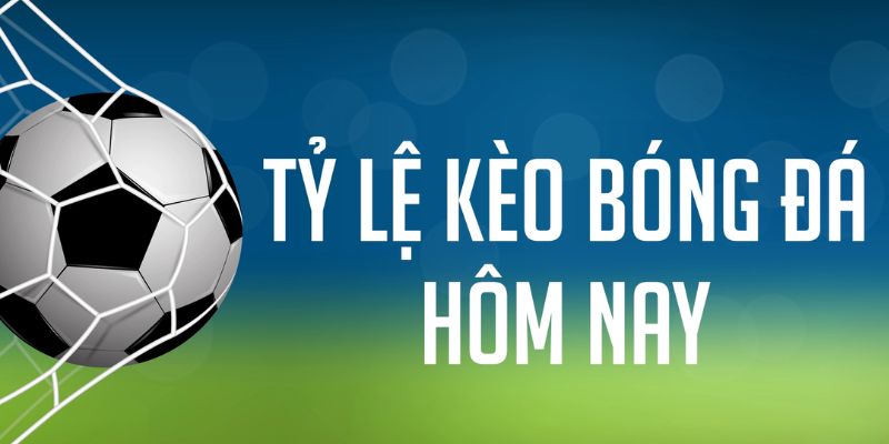oke365 gà chọi c1 mới nhất