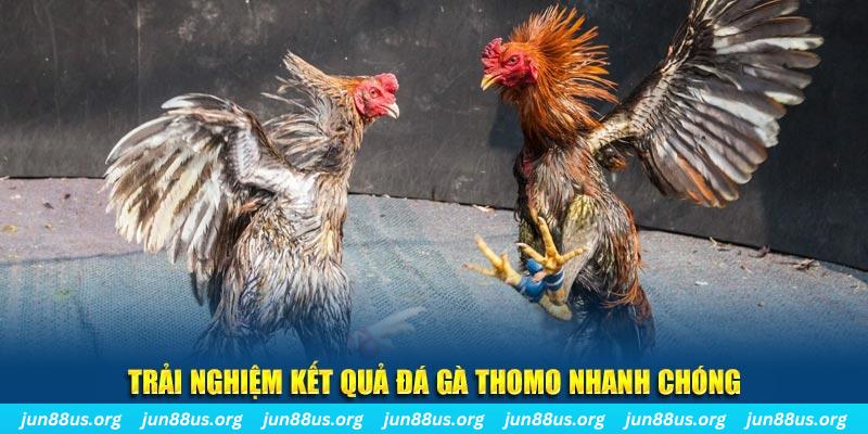 oke365 tai game danh bai bigkool ve may tinh