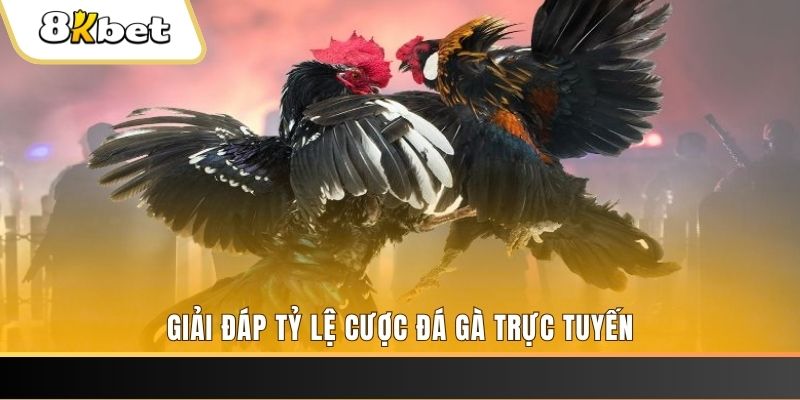 xổ số đài miền trung