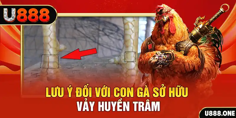 oke365 kết quả xổ số miền nam hôm nay