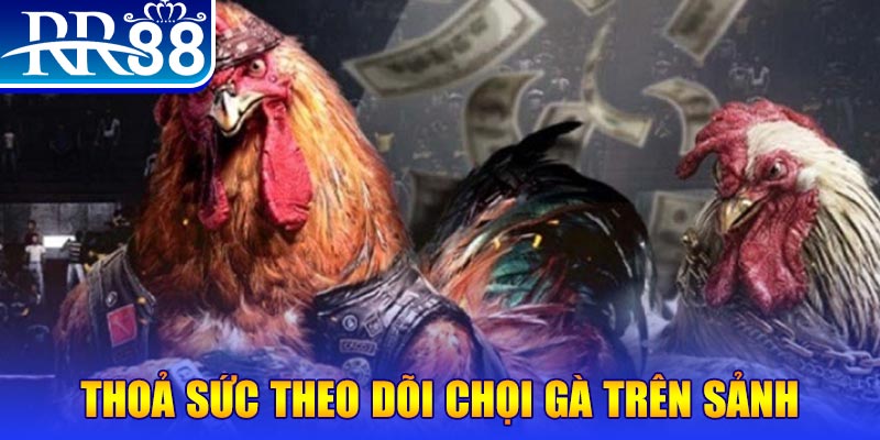 oke365 trực tiếp đá gà c1