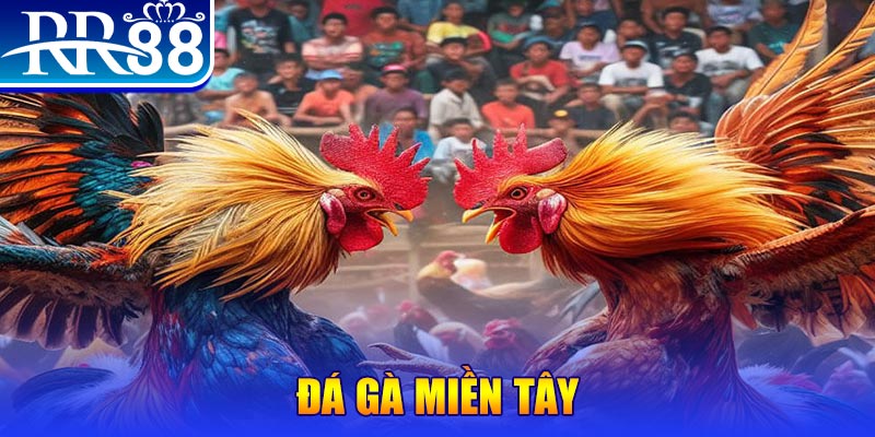 oke365 no hu doi thuong ai