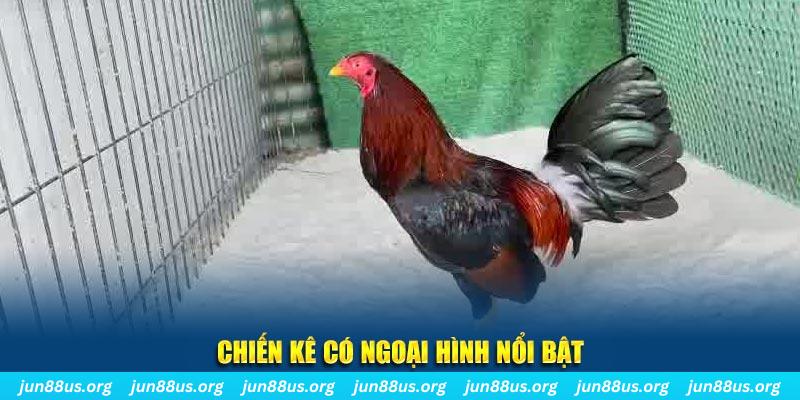 oke365 game nổ hũ là gì