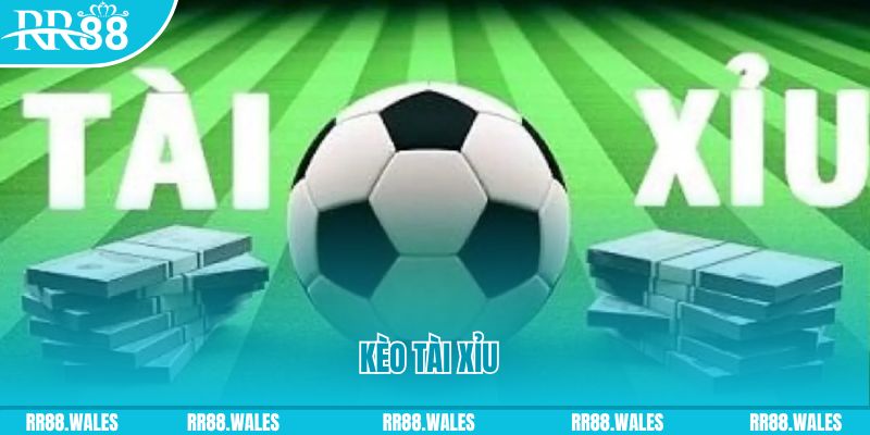 oke365 casino gồm những gì
